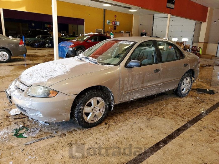 Chevrolet Cavalier 2003 VIN 1G1JF52F237125149