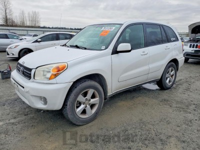 Toyota Rav 4 2004 VIN JTEGD20V640017316