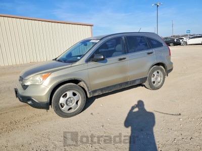 Honda Cr-v 2007 JHLRE38397C023393