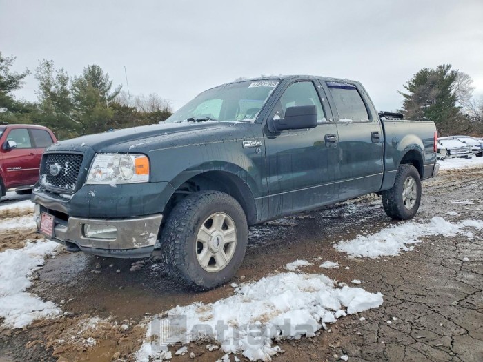 Ford F-150 2004 VIN 1FTPW14514KD23928