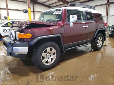 Toyota Fj cruiser 2007 JTEBU11F770058537