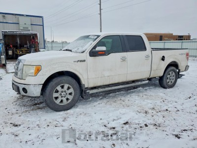 Ford F-150 2010 1FTFW1EV4AFD11691