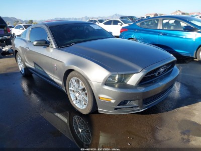 Ford Mustang 2013 VIN 1ZVBP8AM0D5216554