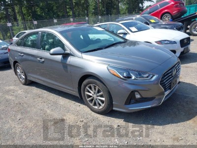 HYUNDAI SONATA 2019 5NPE24AF0KH813984