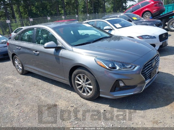 HYUNDAI SONATA 2019 VIN 5NPE24AF0KH813984