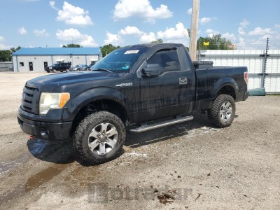 FORD All Models 2011 1FTMF1EF9BFC39484