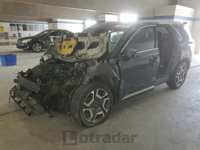 HYUNDAI PALISADE 2024 VIN KM8R4DGE6RU709246