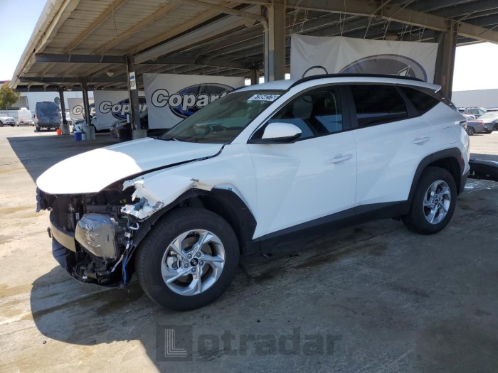 HYUNDAI TUCSON 2024 VIN 5NMJBCDEXRH420450