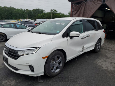 HONDA All Models 2024 5FNRL6H50RB059887