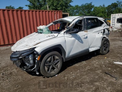 HYUNDAI TUCSON 2025 5NMJBCDE7SH545301
