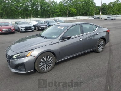 NISSAN ALTIMA 2024 1N4BL4DV1RN369663