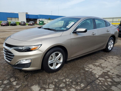CHEVROLET MALIBU 2024 1G1ZD5STXRF231846