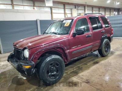 JEEP LIBERTY 2002 1J4GL58K62W358660