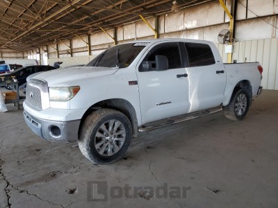 TOYOTA TUNDRA 2007 5TBEV54187S459946