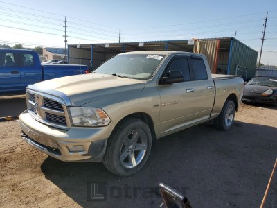 DODGE All Models 2011 1D7RV1GT1BS704929