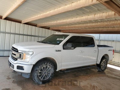 FORD F-150 2018 1FTEW1EP6JKD18713