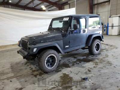 JEEP WRANGLER 2003 1J4FA69S13P360267