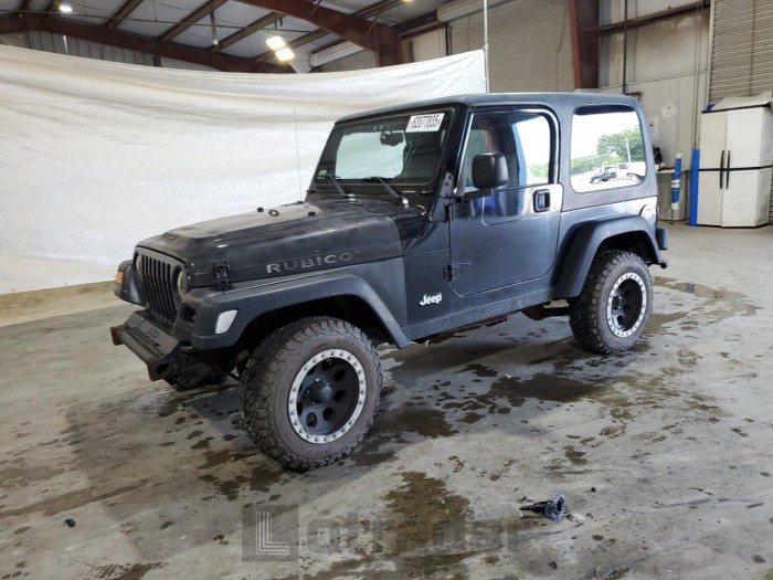 JEEP WRANGLER 2003 VIN 1J4FA69S13P360267