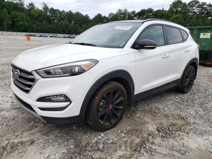 HYUNDAI TUCSON 2017 VIN KM8J33A25HU534656