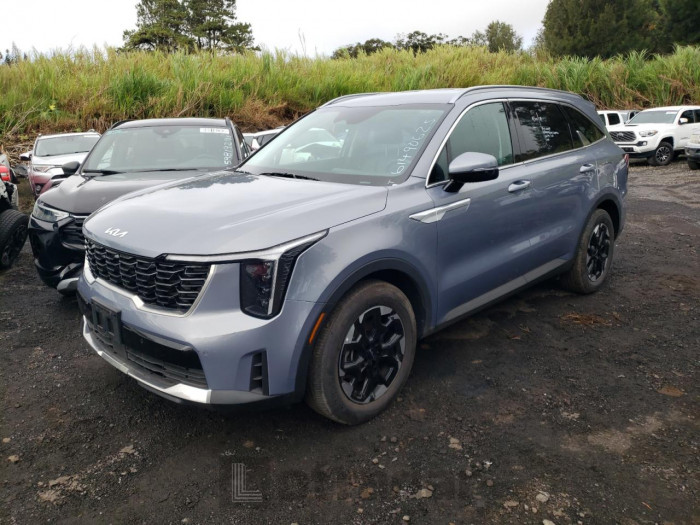 KIA SORENTO 2024 VIN 5XYRL4JC7RG267416