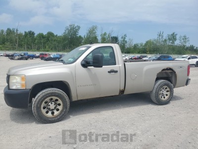 CHEVROLET ALL Models 2007 1GCEK14C37Z524775