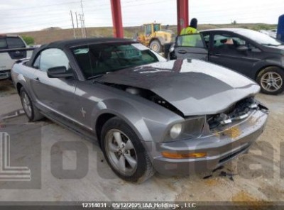 FORD MUSTANG 2007 1ZVFT84N675306409