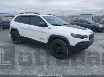 JEEP CHEROKEE 2019 1C4PJMBN6KD233176