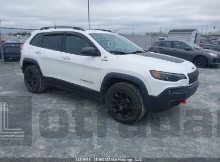 JEEP CHEROKEE 2019 VIN 1C4PJMBN6KD233176