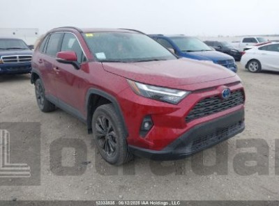 TOYOTA RAV4 2023 2T3RWRFV5PW163696