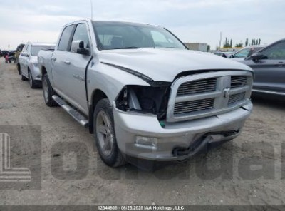 RAM RAM 1500 2011 1D7RV1CTXBS565244