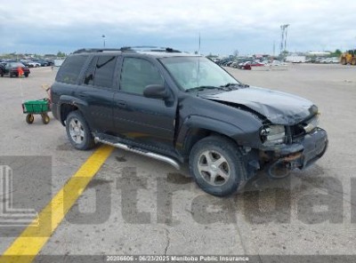 CHEVROLET TRAILBLAZER 2006 1GNDT13S062214387
