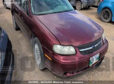 CHEVROLET MALIBU V6 2003 1G1ND52J13M667114