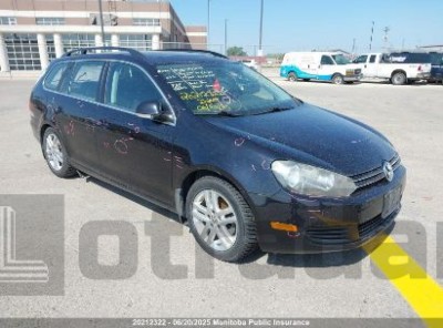 VOLKSWAGEN GOLF 2010 3VWMX7AJ4AM607107