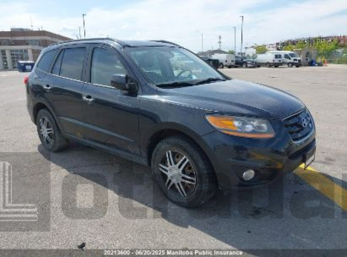 HYUNDAI SANTA FE 2010 VIN 5NMSHDAG9AH416487