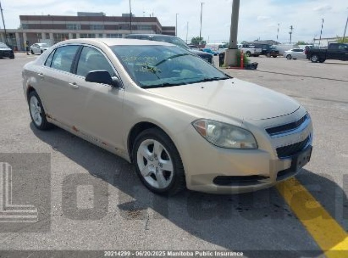 CHEVROLET MALIBU 2010 VIN 1G1ZB5E03AF191301