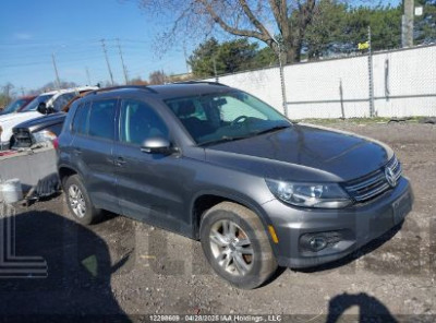 VOLKSWAGEN TIGUAN 2014 VIN WVGJV3AX8EW570914