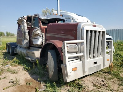 PETERBILT ALL MODELS 2019 1XPXD49XXKD632086
