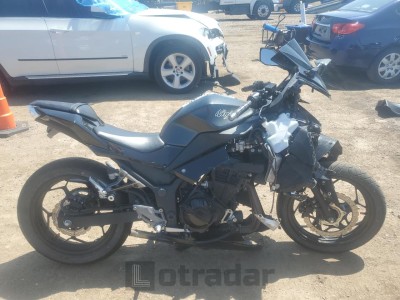 KAWASAKI EX300 B 2016 JKAEX8B1XGDA27129
