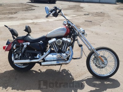HARLEY-DAVIDSON SPRTSTR120 2004 1HD1CGP154K438900
