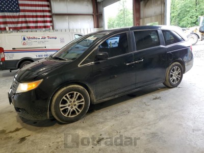 HONDA All Models 2013 VIN 5FNRL5H42DB041546