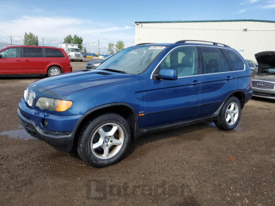 BMW X5 2001 WBAFB33591LH15212