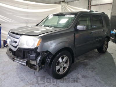 HONDA PILOT 2009 5FNYF38419B012084