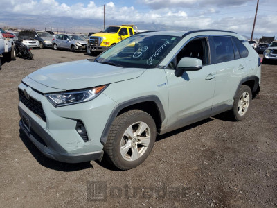 TOYOTA RAV4 2019 JTMRWRFVXKD012312