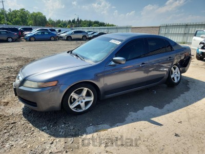 ACURA TL 2006 19UUA66286A032533