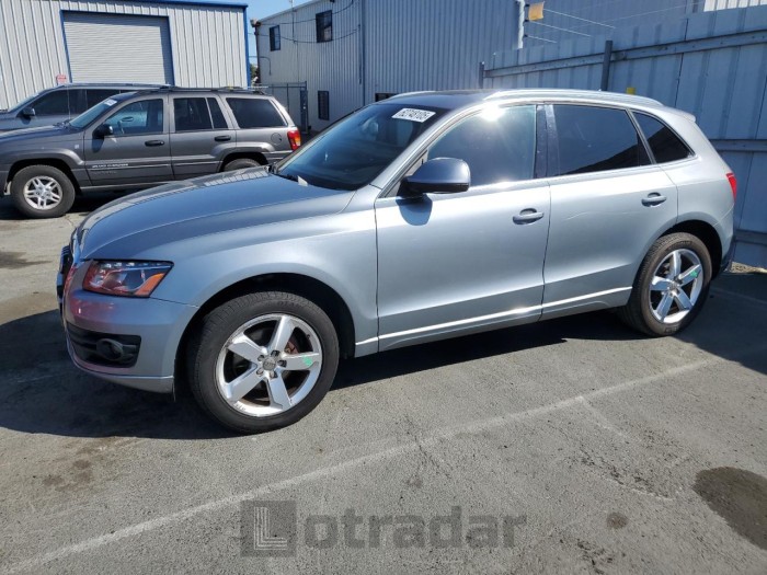 AUDI Q5 2010 VIN WA1LKAFP1AA094025