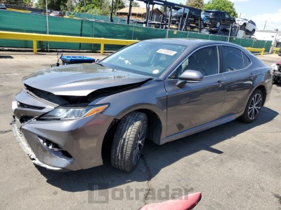 TOYOTA CAMRY 2019 4T1B11HK2KU774338