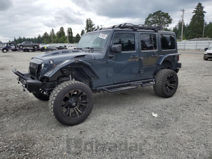 JEEP WRANGLER 2017 VIN 1C4BJWDG3HL577891