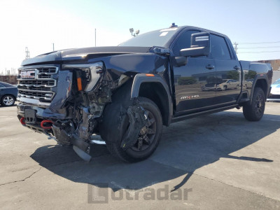 GMC SIERRA 2024 1GT49PE75RF396930