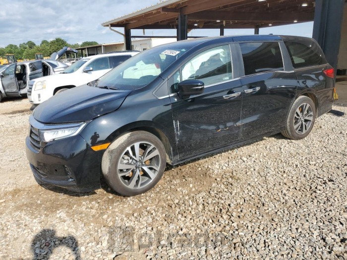 HONDA ODYSSEY 2024 VIN 5FNRL6H86RB011515