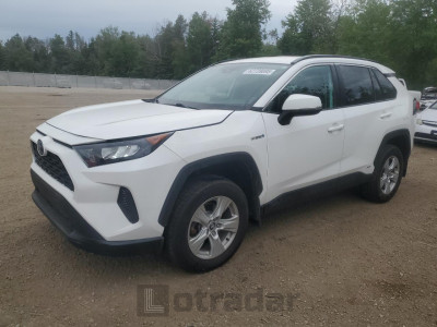TOYOTA RAV4 2019 2T3BWRFV4KW039221